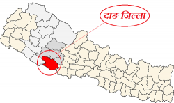 दाङका ६१ मतदान केन्द्रको नेतृत्व महिलालाई